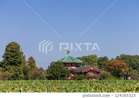 The Buddhist Benten-do Temple in Tokyo stands on an island in Shinobazu Pond The Buddhist Benten-do Temple in Tokyo stands on an island in Shinobazu Pond 124165323