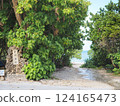 Entrance to Aragusuku Beach (Miyakojima, Okinawa) 124165473