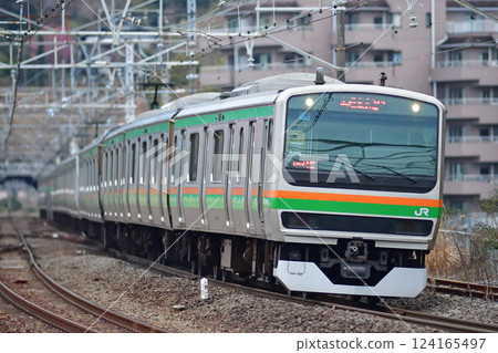 東海道本線真鶴 JR 東 E231 系 1000 系 U12 編隊（小山） 124165497