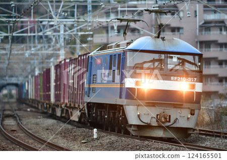Tokaido Main Line, Manazuru, JR Freight, EF210-317 (Suita) 124165501