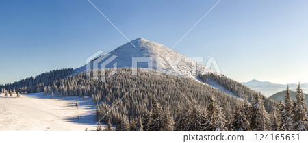 Beautiful winter panorama with fresh snow. Landscape with spruce pine trees, blue sky with sun light and high Carpathian mountains on background. 124165651