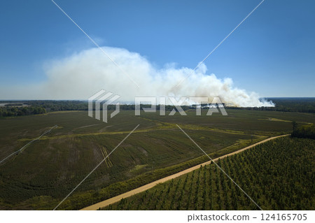 Aerial view of white smoke from forest fire rising up polluting atmosphere. Natural disaster concept Aerial view of white smoke from forest fire rising up polluting atmosphere. Natural disaster concept 124165705