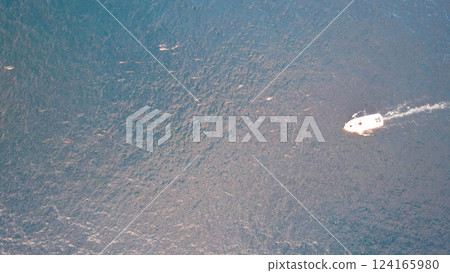 White boat sailing near a pod of dolphins in the ocean 124165980