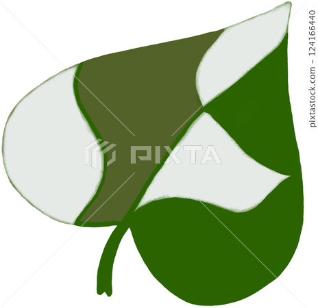 Epipremnum Aureum plant leaves Epipremnum Aureum plant leaves 124166440