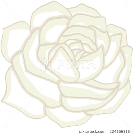 Beautiful blossom of orange rose Beautiful blossom of orange rose 124166516