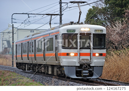 Gotemba Line Kamioi-Shimo-Soga JR Central 313 series V12 train (Shizuoka) Gotemba Line Kamioi-Shimo-Soga JR Central 313 series V12 train (Shizuoka) 124167275