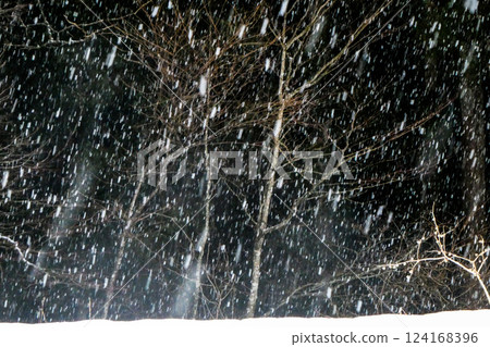A sudden sleet on the mountain in March - Kenji Miyazawa's "The Morning of Farewell" 124168396