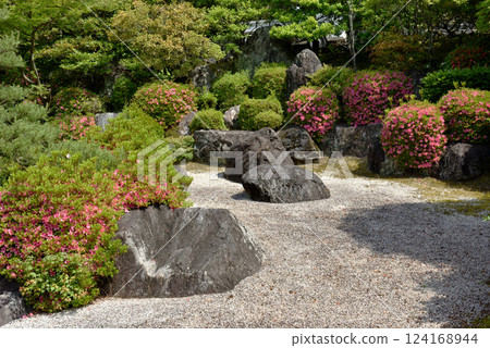三室戶寺岩石花園的春天（京都府宇治市） 124168944