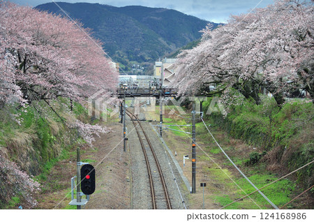 Gotemba Line Yamakita JR Central 124168986