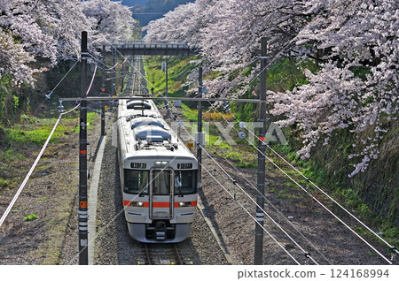 禦殿場線 山北 JR中央 313系列 W9編組 (靜岡) 124168994