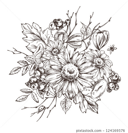 Autumn berries physalis, chokeberry, rowan leaves, maple, birch, russula mushrooms, rudbeckia flowers, tree branches. Graphic line art hand drawn with black ink. Arrangement, sublimation, composition 124169376