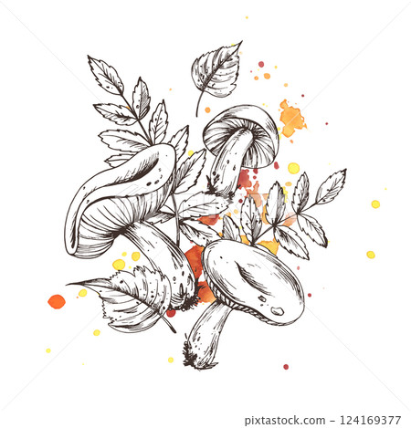 Autumn rowan and birch leaves with edible mushrooms russula. For decorating summer, autumn, harvest. Graphic line art hand drawn with black ink. Arrangement, sublimation, composition 124169377