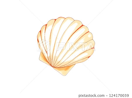 Seashell in watercolour technique. Vector illustration. 124170039