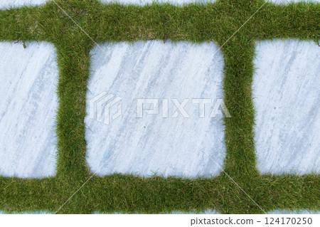 fragment of a sidewalk path with grass and paving slabs 124170250