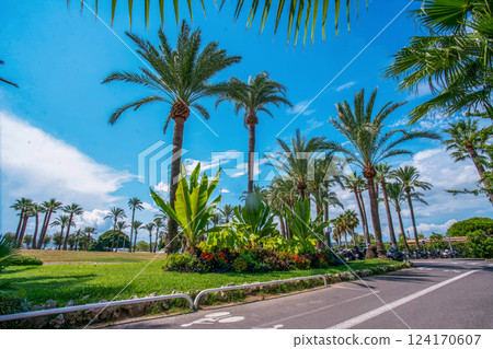 The amazing lgardening on Croisette n Cannes The amazing lgardening on Croisette n Cannes 124170607