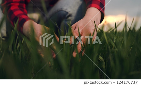 farmer hand finger touches stems green wheat leaves field sunset, agriculture farm business, sunset farming life, harvesting at dusk, touching wheat grain, rural sunset landscape, wheat hand landscape farmer hand finger touches stems green wheat leaves field sunset, agriculture farm business, sunset farming life, harvesting at dusk, touching wheat grain, rural sunset landscape, wheat hand landscape 124170737
