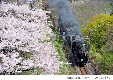 上越線上牧-水上 JR東日本 D51-498 + 12系列 (高崎) SL水上 124171169