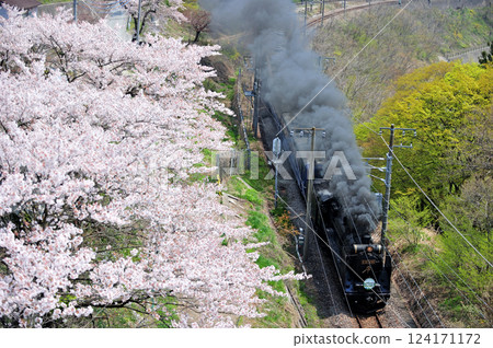 上越線上牧-水上 JR東日本 D51-498 + 12系列 (高崎) SL水上 124171172