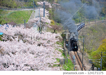 Joetsu Line Kamimaki-Minakami JR East D51-498 + 12 series (Takasaki) SL Minakami 124171175