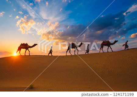 Indian cameleers camel drivers camel silhouettes in dunes on sunset. Jaisalmer, Rajasthan, India 124171199