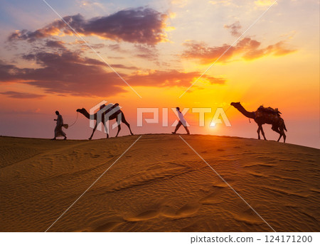Indian cameleers camel drivers camel silhouettes in dunes on sunset. Jaisalmer, Rajasthan, India 124171200
