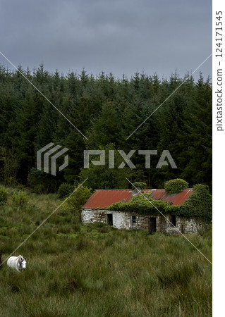 Old stone small barn or farm house in rural countryside surrounded by tall green wild grass and horses. Abandoned farm house in Ireland Old stone small barn or farm house in rural countryside surrounded by tall green wild grass and horses. Abandoned farm house in Ireland 124171545