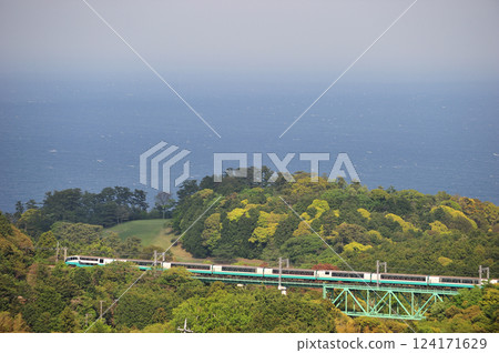 Izukyu Railway Kawana-Futo JR East 251 series (Omiya) Super View Odoriko 124171629