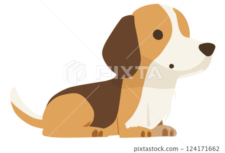 Dog Dog 124171662