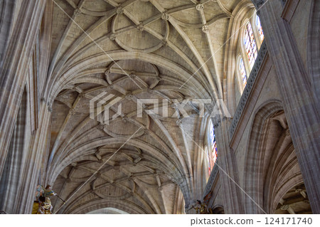 Late Gothic ribbed vaults and interlocking ribs in Gothic Cathedral of Segovia 124171740