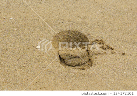 Footprints on Sandy Beach A Close Up of Natures Tranquility Coastal Art Footprints on Sandy Beach A Close Up of Natures Tranquility Coastal Art 124172101