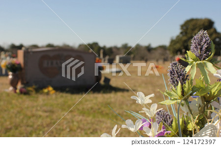 Historic Elkins Cemetery In Omen Texas 124172397