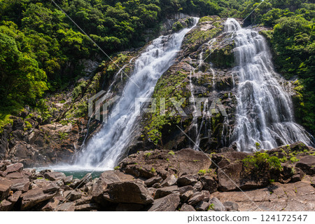 Roaring Okawa Falls, one of Japan's top 100 waterfalls, Yakushima National Park (Summer) 124172547