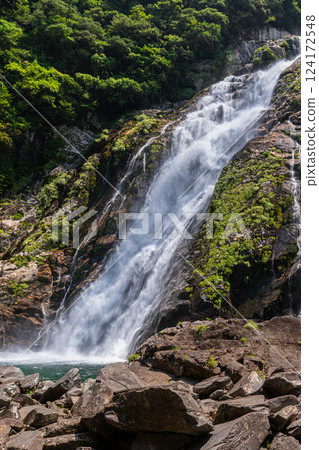 Roaring Okawa Falls, one of Japan's top 100 waterfalls, Yakushima National Park (Summer) 124172548