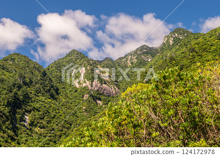 Deep green, steep mountains, World Natural Heritage Site Yakushima (Summer) 124172978
