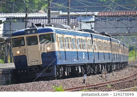 中央幹線上野原JR東日本115系列M11編組（豐田） 124173049