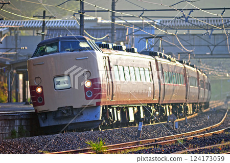 Chuo Line Uenohara JR East 183 series M51 formation (Toyota) out of service 124173059
