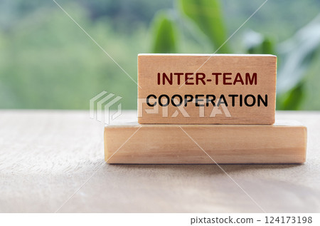 Inter Team Cooperation text on wooden block with blurred nature background. Teamwork and collaboration concept Inter Team Cooperation text on wooden block with blurred nature background. Teamwork and collaboration concept 124173198