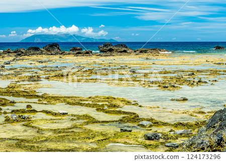 Kurio Coast in midsummer, raised coral reefs, Yakushima, an offshore Alps Kurio Coast in midsummer, raised coral reefs, Yakushima, an offshore Alps 124173296