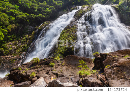 日本百大瀑布之一，屋久島國立公園，清爽的瀑布轟鳴聲（夏季） 124173724
