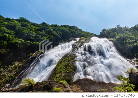 The refreshing roar of Okawa Falls, one of Japan's top 100 waterfalls, Yakushima National Park (Summer) The refreshing roar of Okawa Falls, one of Japan's top 100 waterfalls, Yakushima National Park (Summer) 124173740