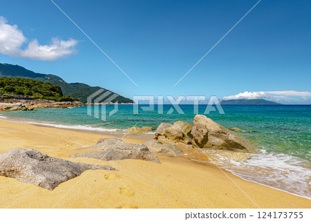 屋久島最大的海龜築巢地,永田稻中濱(夏季) 屋久島最大的海龜築巢地,永田稻中濱(夏季) 124173755