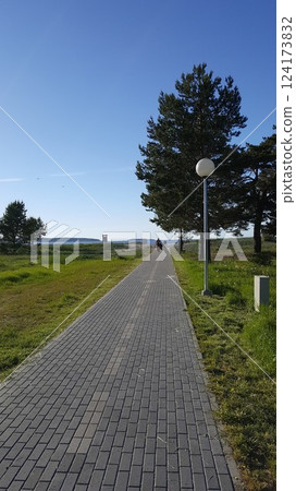 Brick road to the sea and pine trees Brick road to the sea and pine trees 124173832