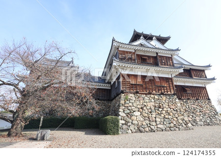 Fukuchiyama Castle Fukuchiyama Castle 124174355