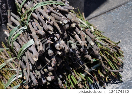 Search for and throw away tree branches Search for and throw away tree branches 124174380