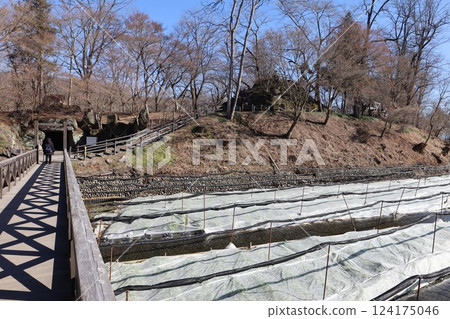 安曇野 安曇野 124175046