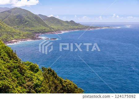 世界自然遺產屋久島的絕美景色（7月） - 沐浴在盛夏陽光下的森林和海洋 124175092