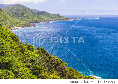 Summer Sea and Forest, Western Forest Road Area, Yakushima, World Natural Heritage Site 124175094