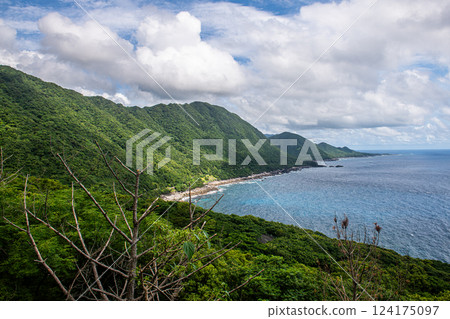 Summer Sea and Forest, Western Forest Road Area, Yakushima, World Natural Heritage Site 124175097