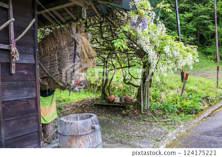 Straw horse and wisteria flowers 124175221
