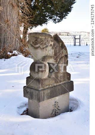 Photographing the grounds of Kiyokawa Inari Shrine in Hokuto, Hokkaido in winter 124175745